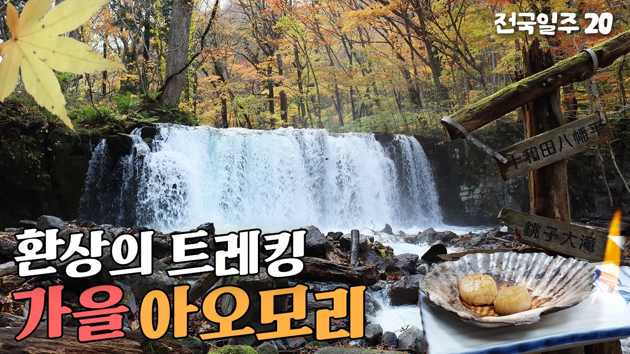 오이라세 계류 단풍 절정 트레킹 [일본전국일주 20] 코스 추천 | 아오모리 맛집