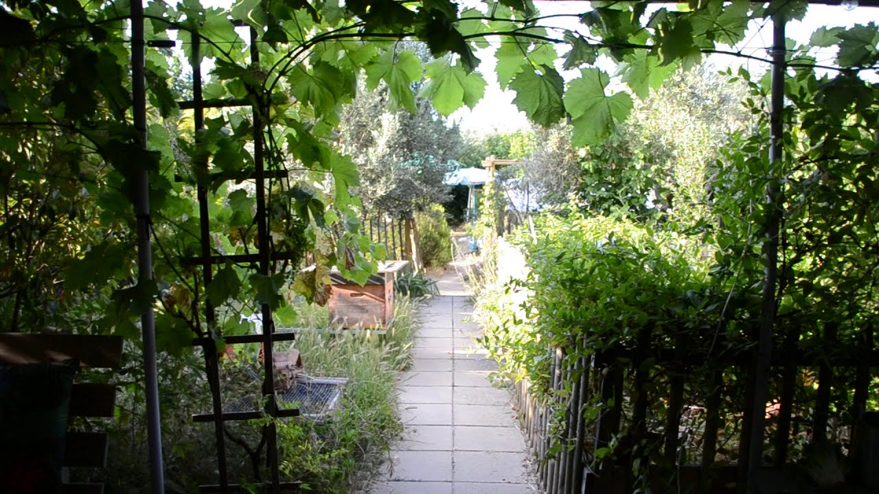 Pr&eacute;sentation de mon petit jardin Marseillais