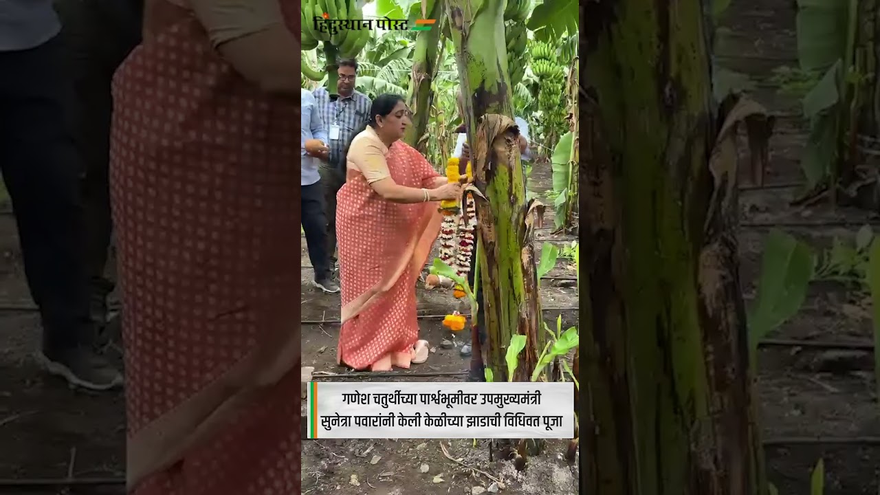 गणेश चतुर्थीच्या पार्श्वभूमीवर उपमुख्यमंत्री सुनेत्रा पवारांनी केली केळीच्या झाडाची विधिवत पूजा