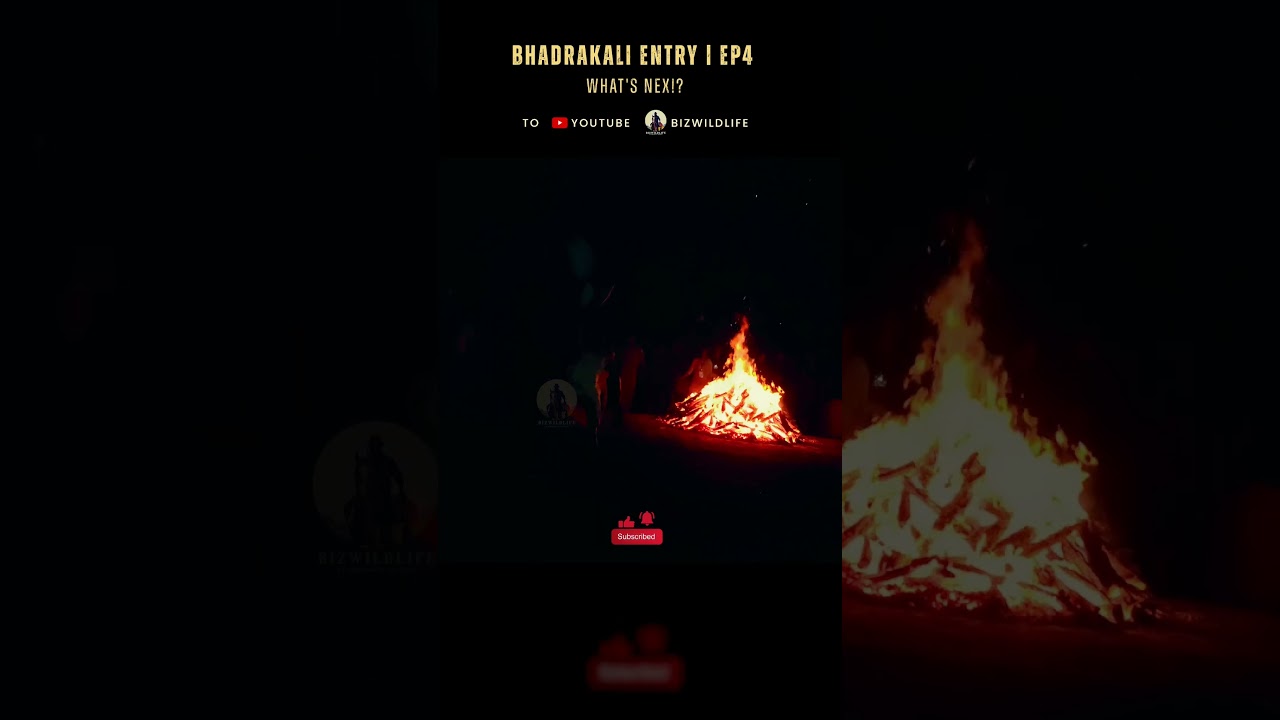 🔥🔥🔥 🥁 #Chenda #Melam #fire #theyyam #kali #chendamelam #ritual  #shorts #instrumental