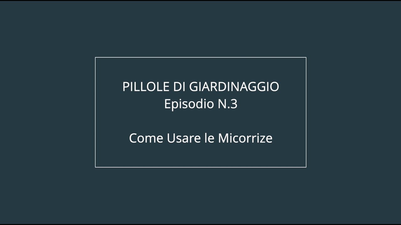 Come si Usano le Micorrize / Pillole di Giardinaggio / Ep.3