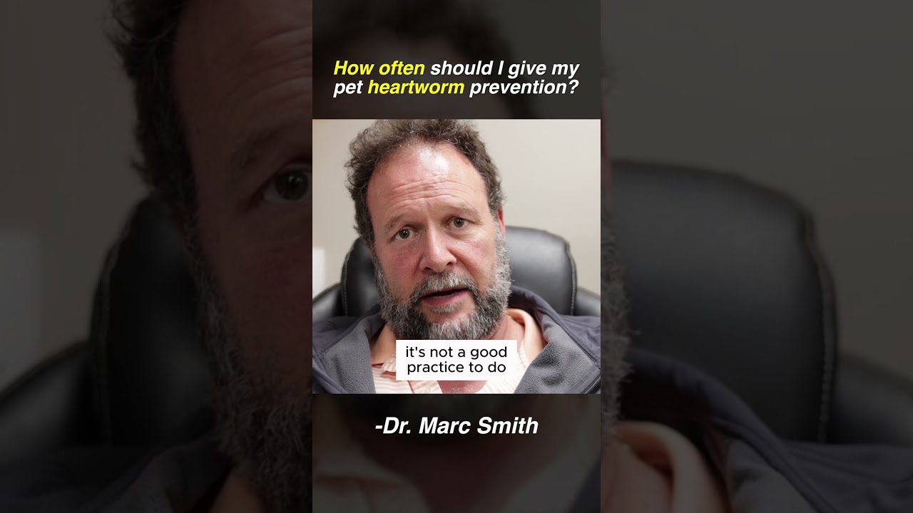 Monthly Heartworm Prevention Advice | Marc Smith, DVM, MS