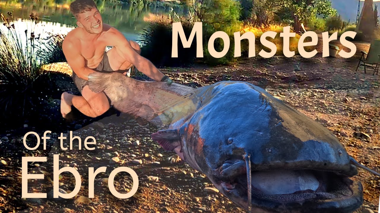 160lb Monster Catfish Caught on Ebro River- EPIC BATTLE!