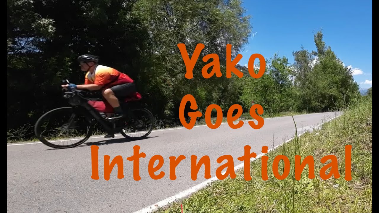Orbea Gain Vs Pyrenees