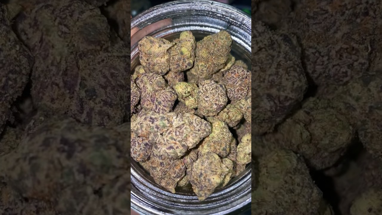 😮&zwj;💨 #420 #weed #cannabis #notforsale #gas #cannabiseducation #exotic