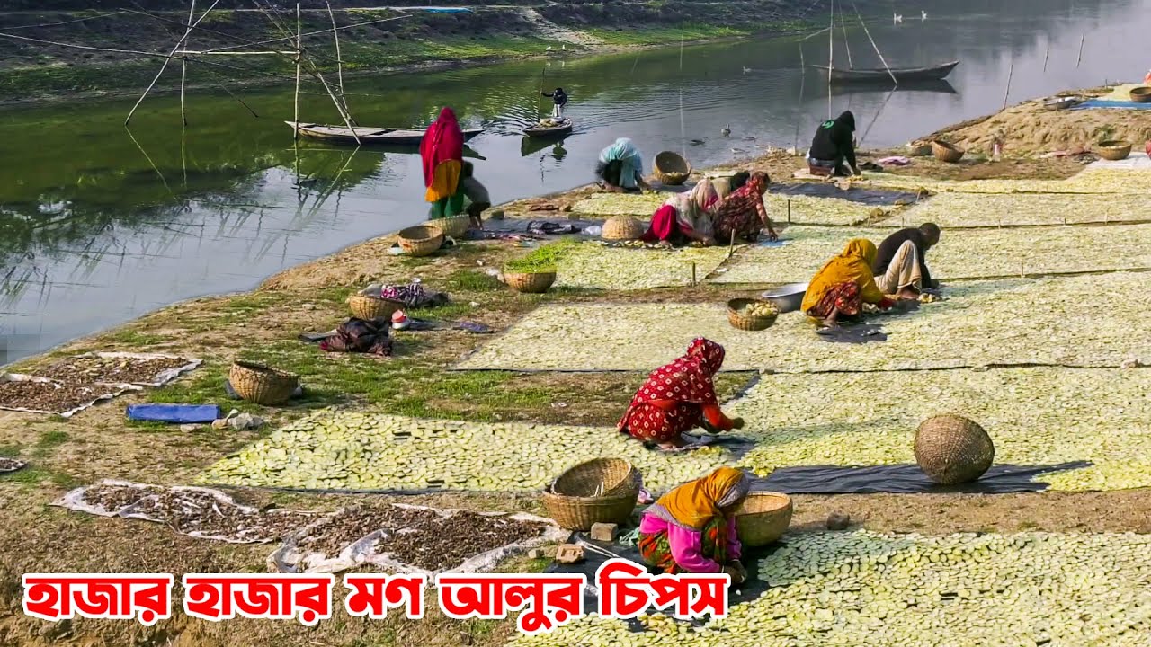 জয়পুরহাটের গ্রামে গ্রামে তৈরি হয় হাজার হাজার মণ আলুর চিপস || Panorama Documentary