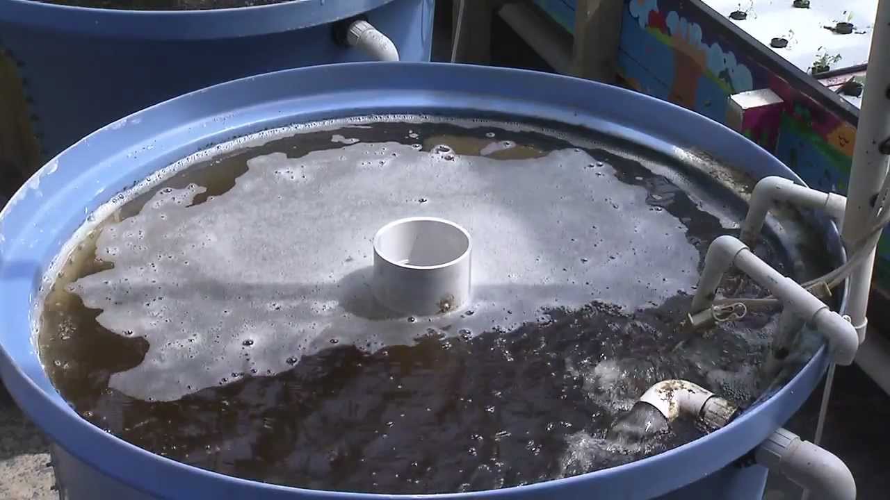 Purdue Aquaponics: Cut Water Usage