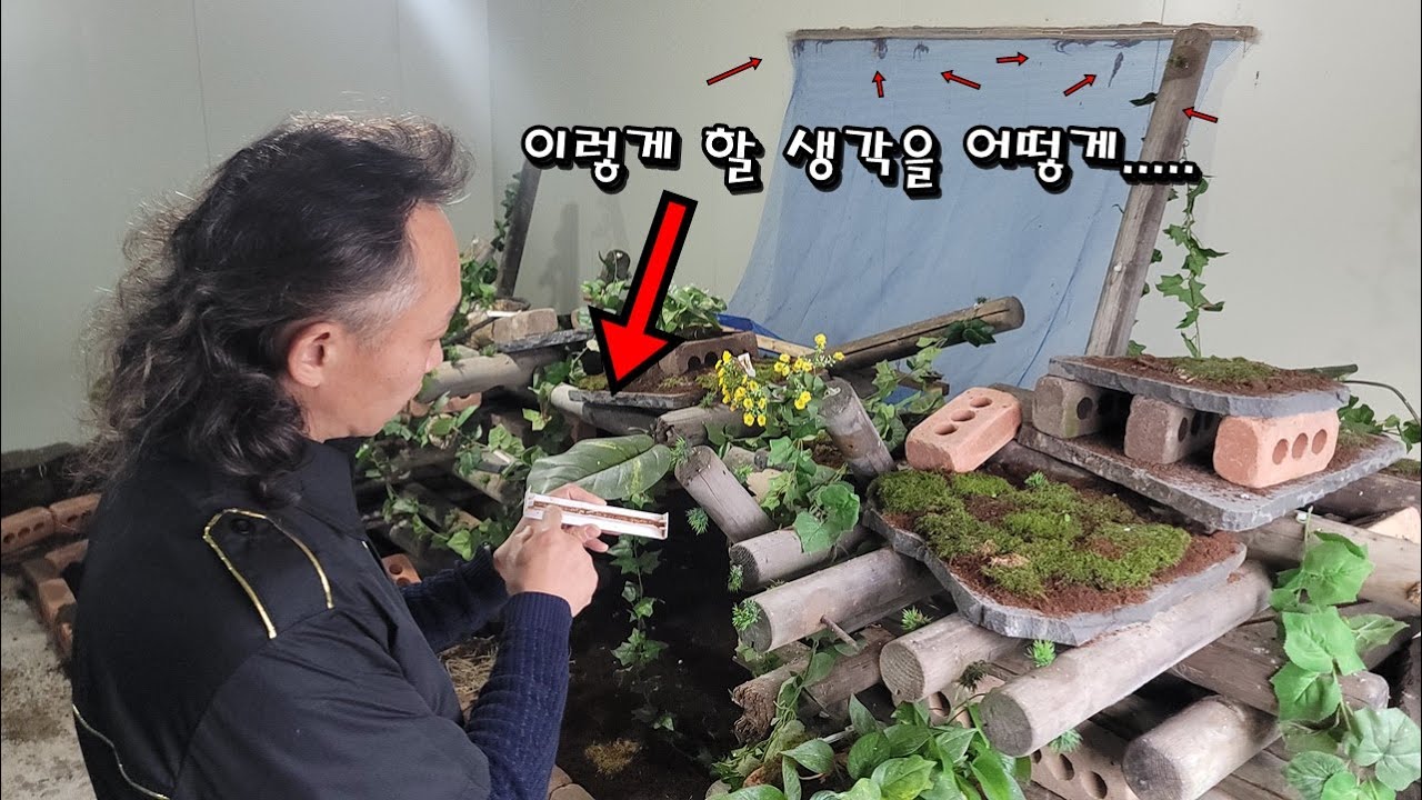 우리나라 최초로 편견을 깨버린 수백마리 사육장이라네요ㄷㄷ