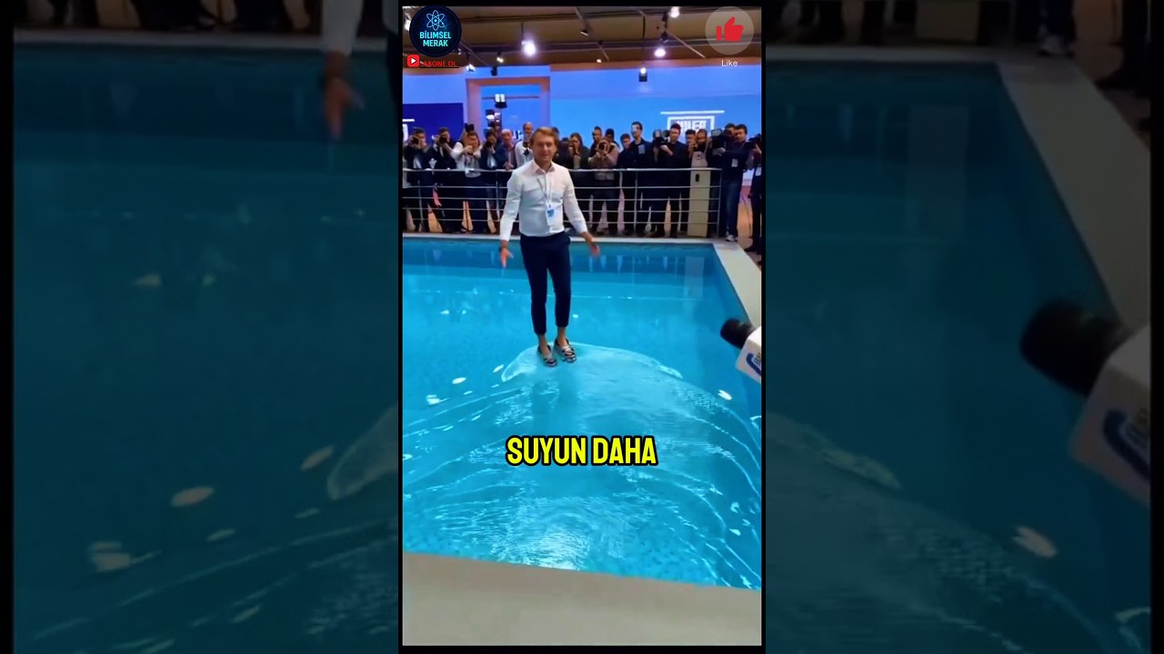 Su &Uuml;st&uuml;nde Y&uuml;r&uuml;mek M&uuml;mk&uuml;n m&uuml;? | Arşimet&rsquo;in Yasası ve İlgin&ccedil; Bilim Deneyi