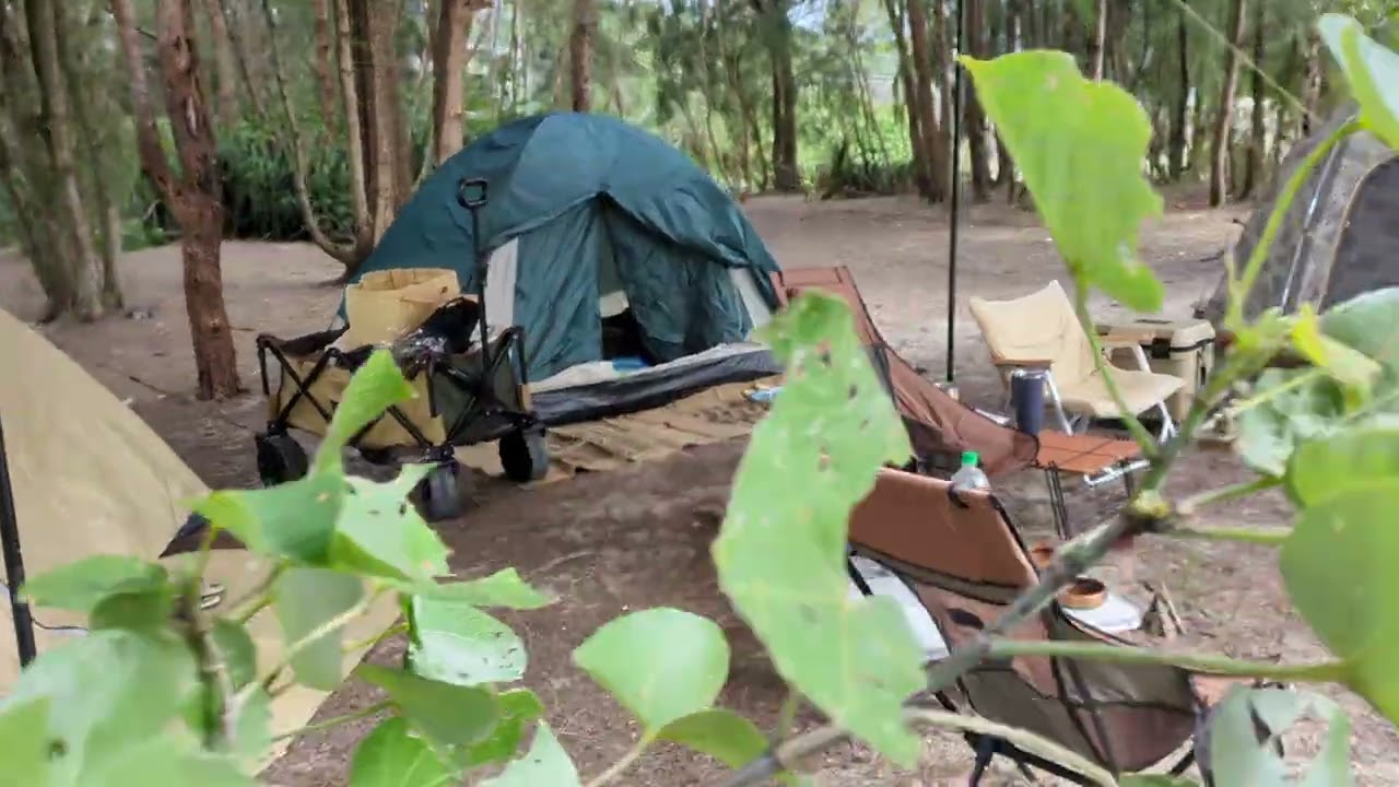 親子CAMPを奏でよう！