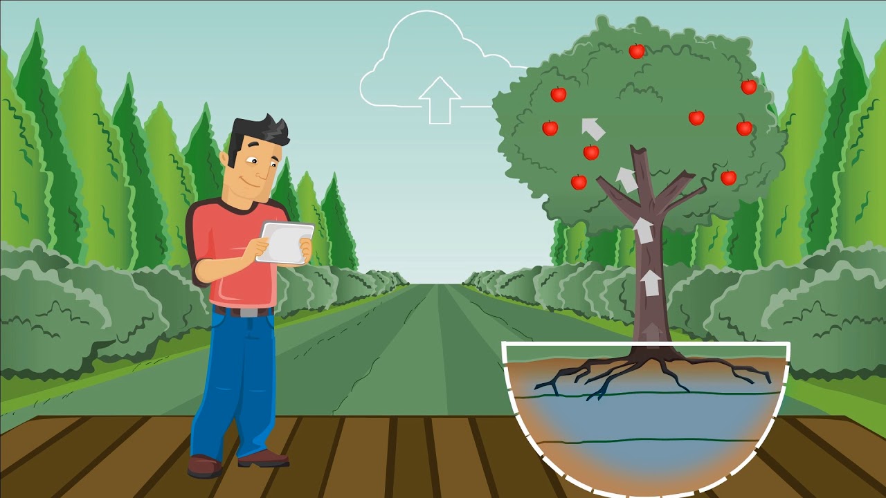 Saturas Decision Support System for Precision Irrigation