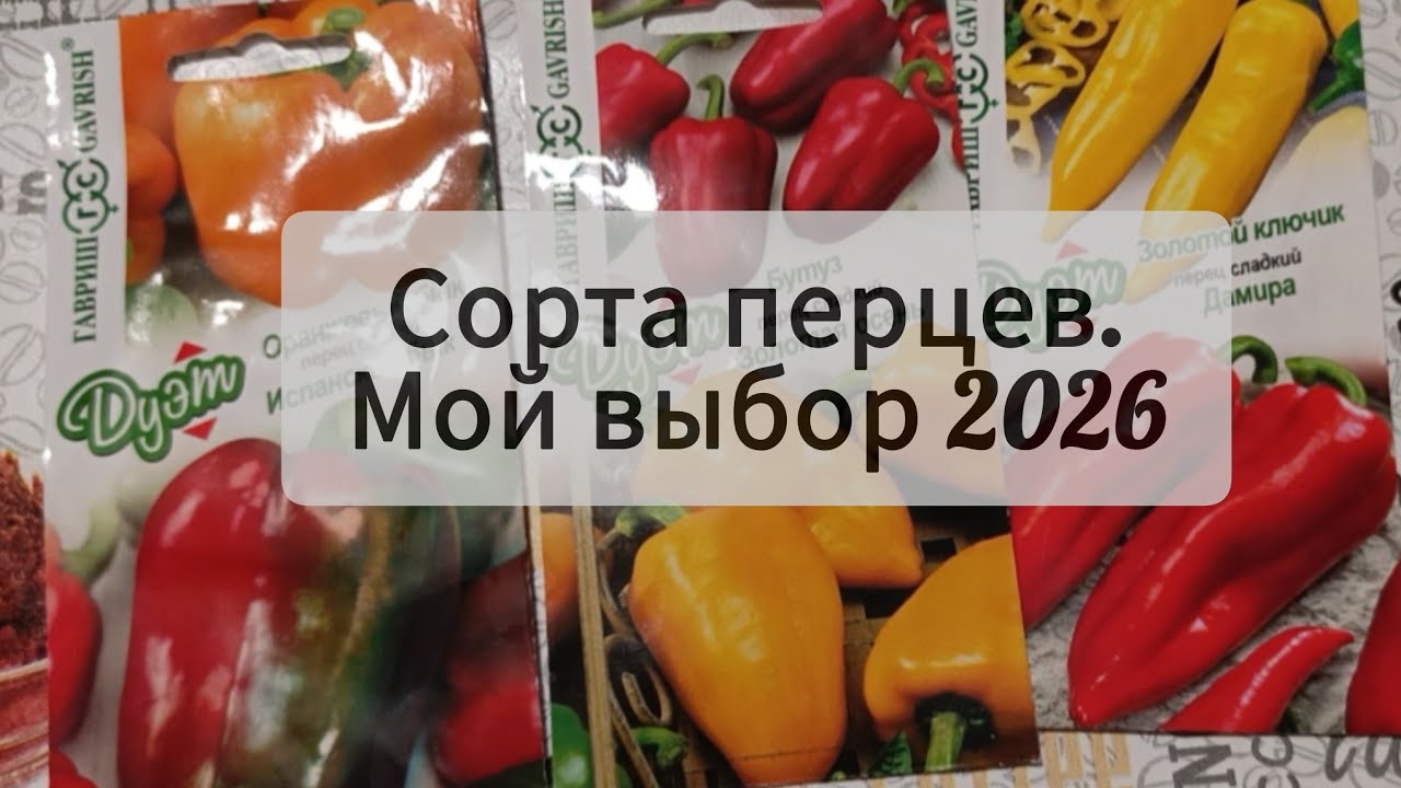 Новые сорта перцев на 2026 год