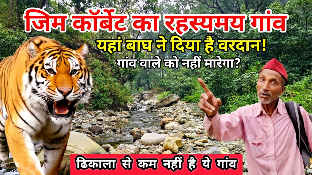 यहाँ बाघ इंसानों को नहीं मारता❗️ जिम कॉर्बेंट के डरावने जंगल में बसा रहस्यमय गांव @Wildlifewithsunil