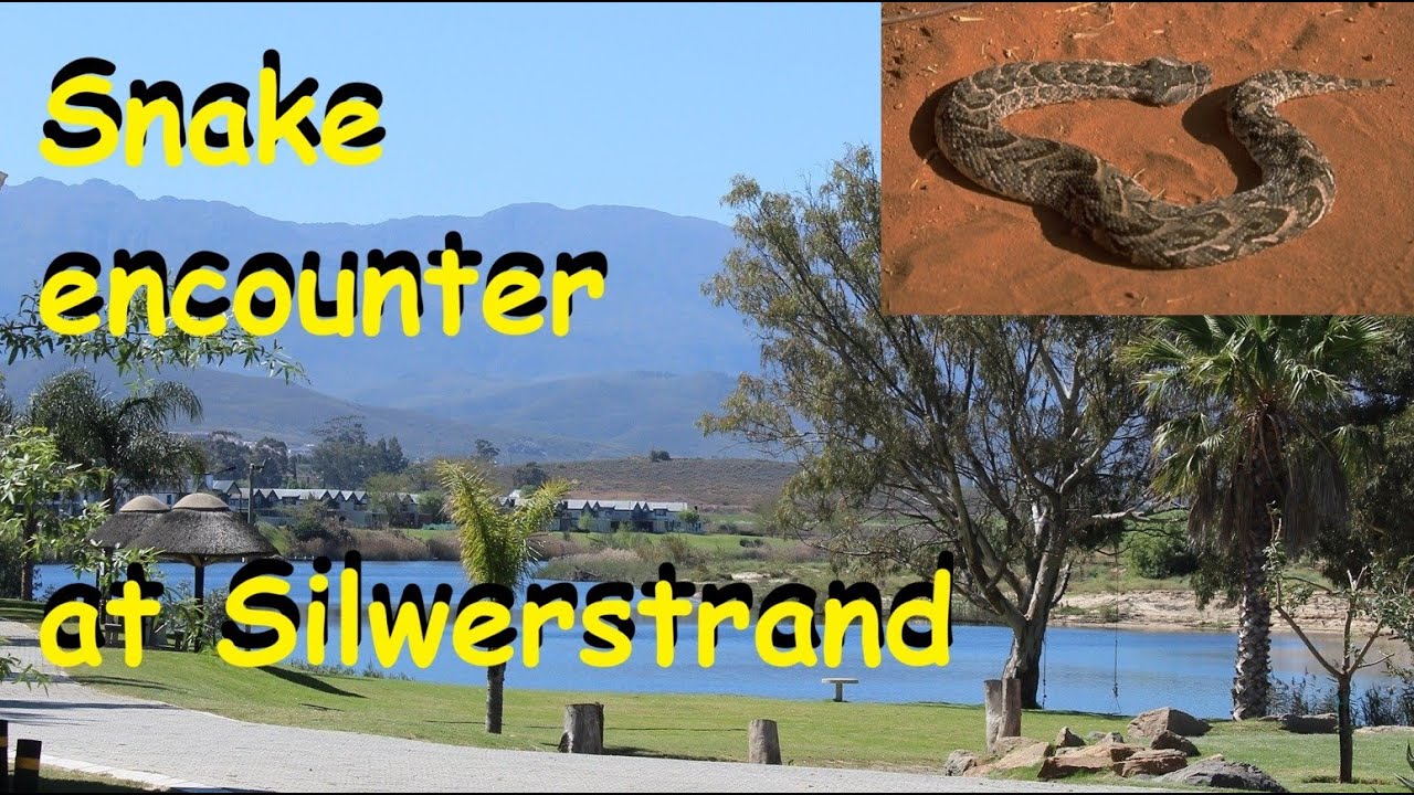 Silwerstrand Part 2