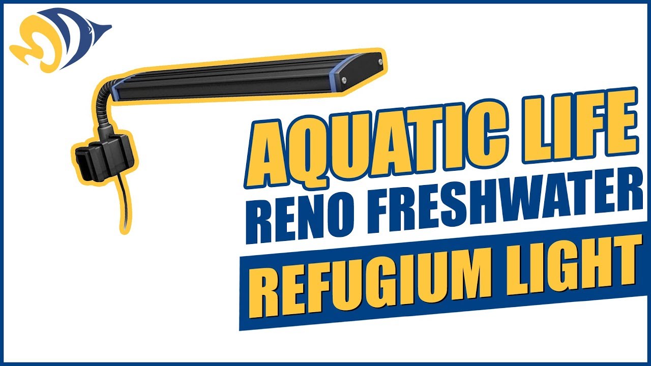 Aquatic Life Reno Freshwater / Refugium Light - What YOU Need to Know
