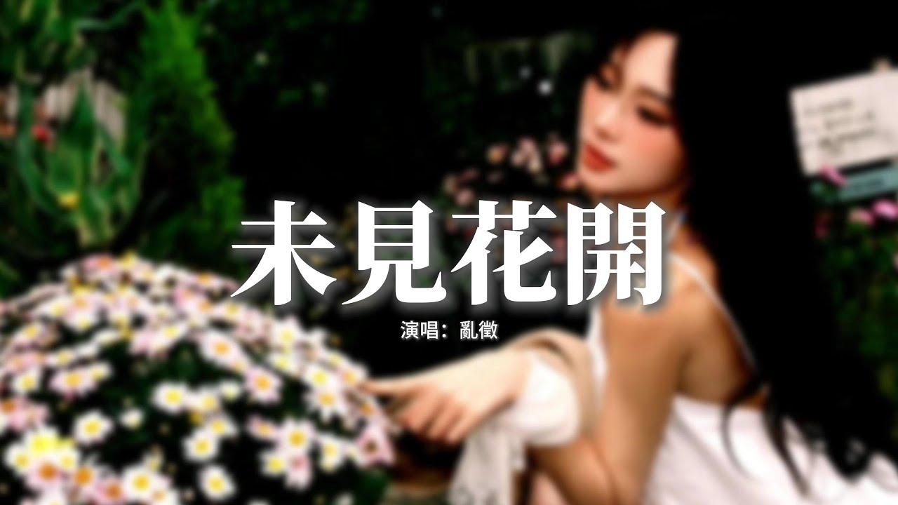亂徵 - 未見花開『他們沒等到這漫山的花開，卻把自己種進了這片山脈，用盡一生去信一個必來的時代，只因那一句最滾燙的對白&mdash;&mdash;中國會在。』【動態歌詞MV】