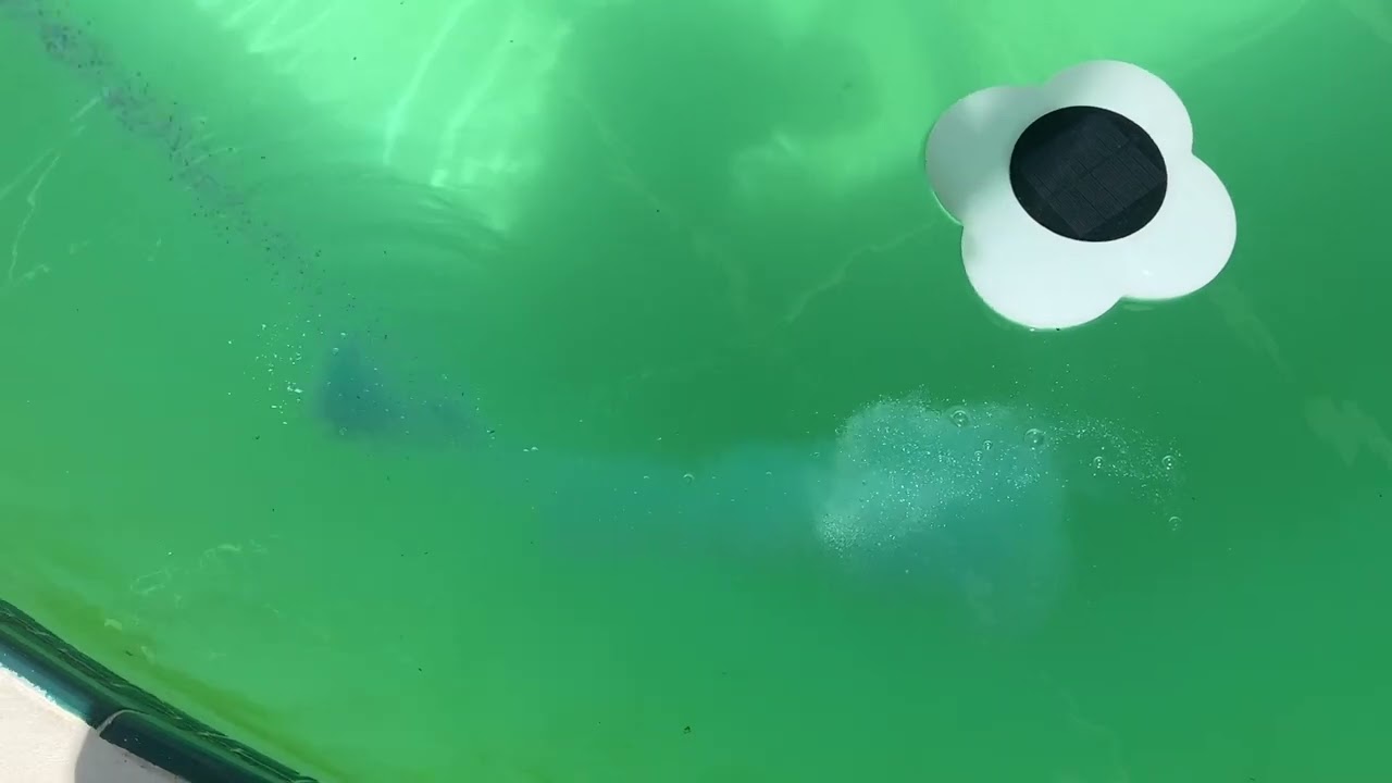 How HTH Shock Ultra Turned Our Green Pool Blue