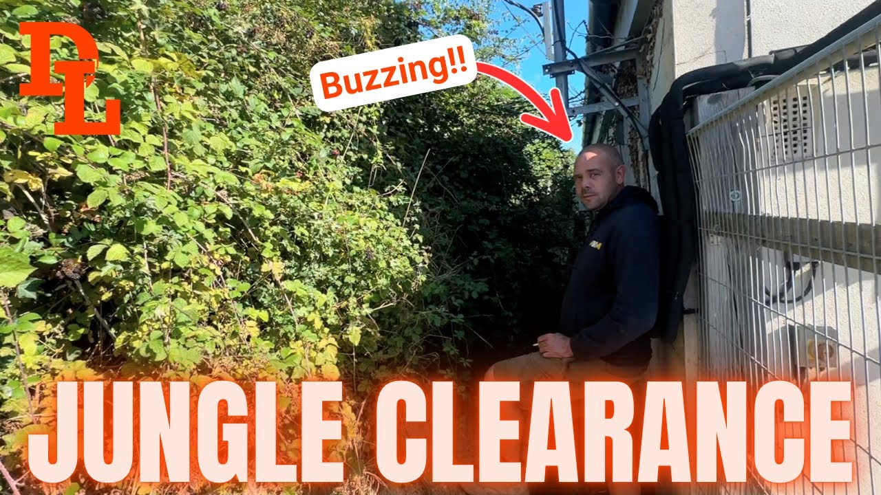Jungle Clearance for Dave, Dave at the Shop - Small Patio Repairs - Resuce Team - Ep 196