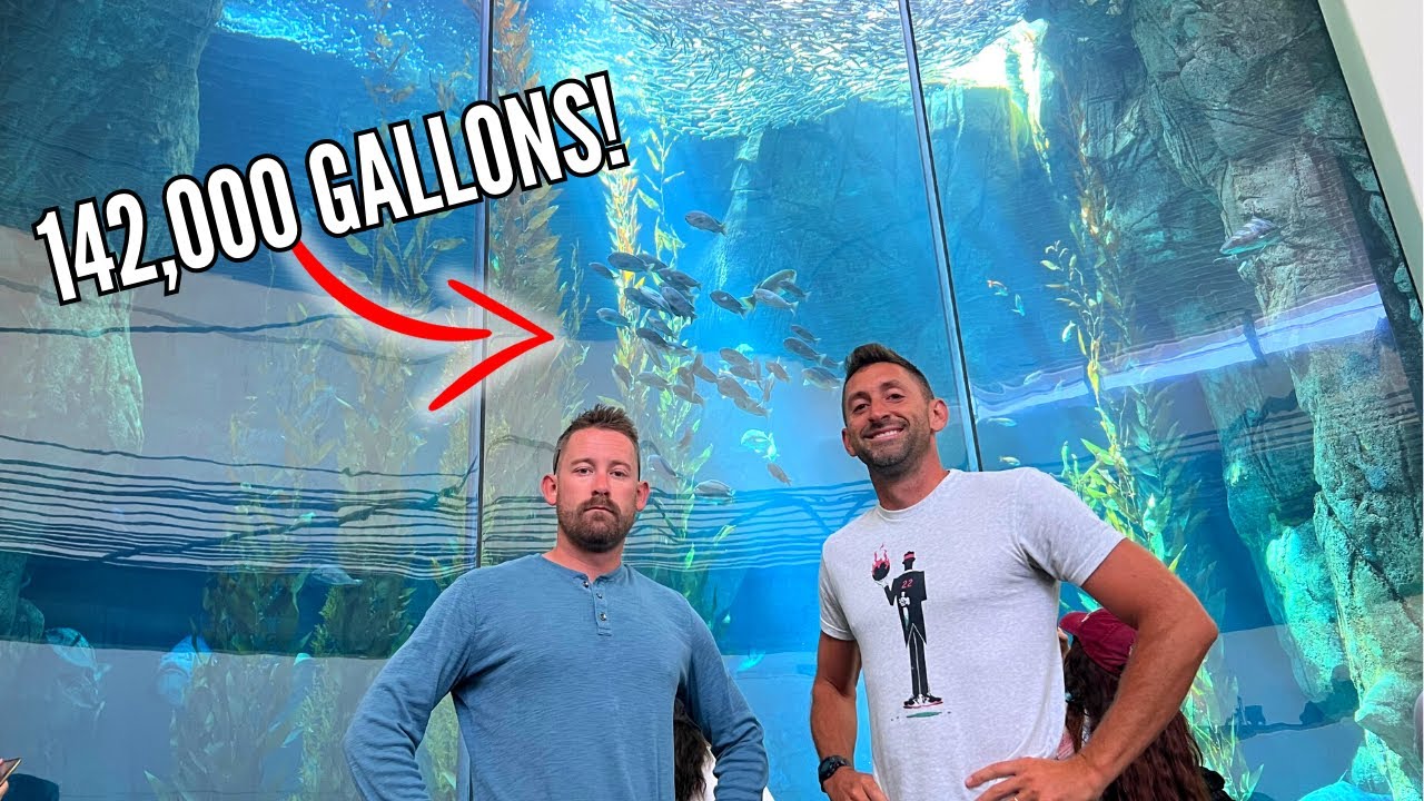 The Aquarium of the Pacific (Complete Tour!)