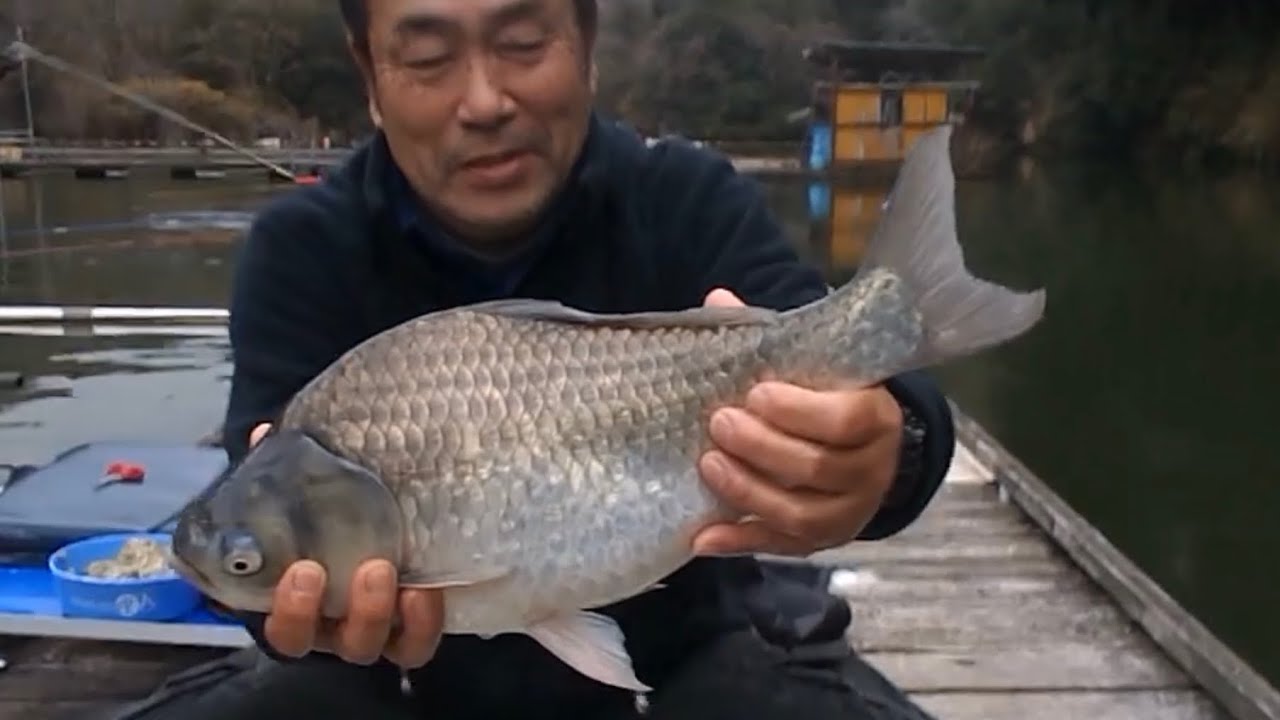 釣堀　菊水　大会終了後　大物ハンター森本様　超美へら48.6cm釣り上げ！