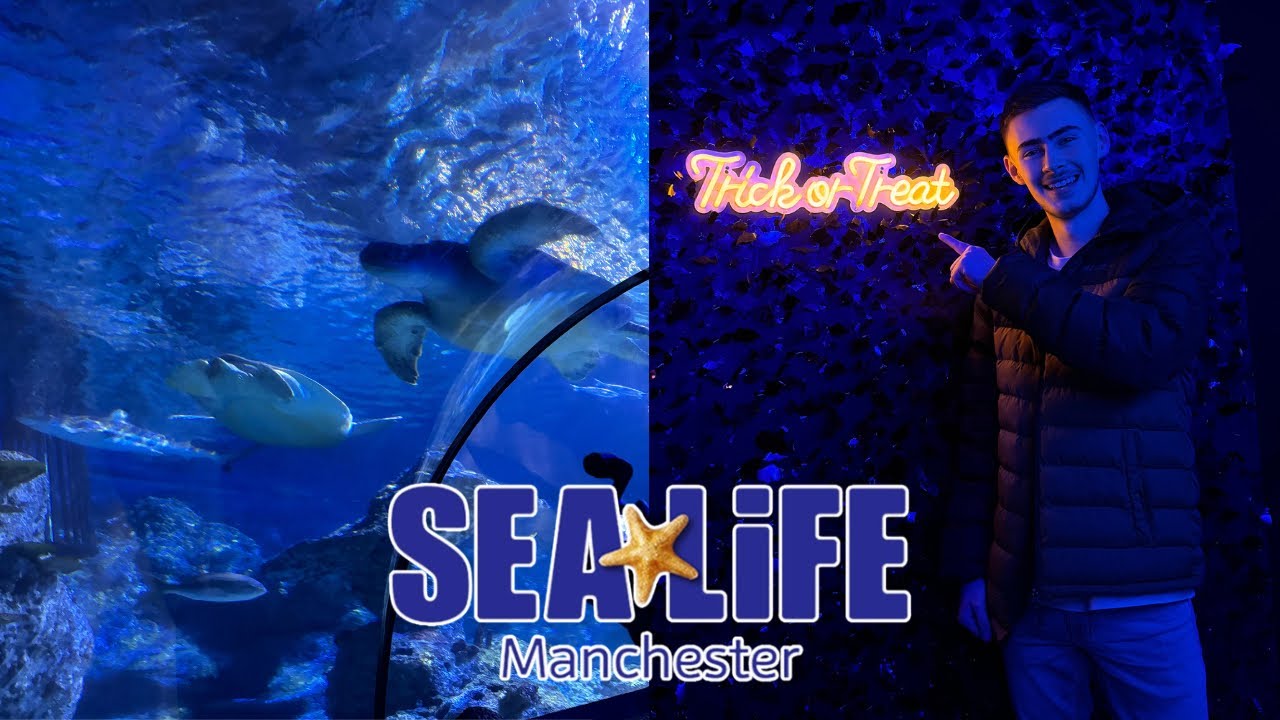 HALLOWEEN AT SEALIFE?! | SEALIFE MANCHESTER VLOG OCTOBER 2024