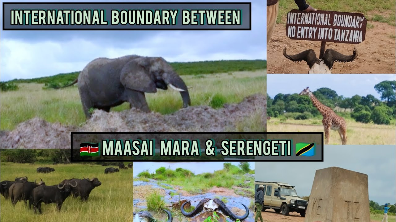 Maasai Mara Experience//With Bonfire Adventures//The Mara River