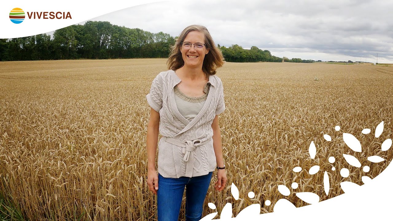 La moisson de blé et le stockage à la ferme avec Emilie, agricultrice-coopératrice dans les Ardennes