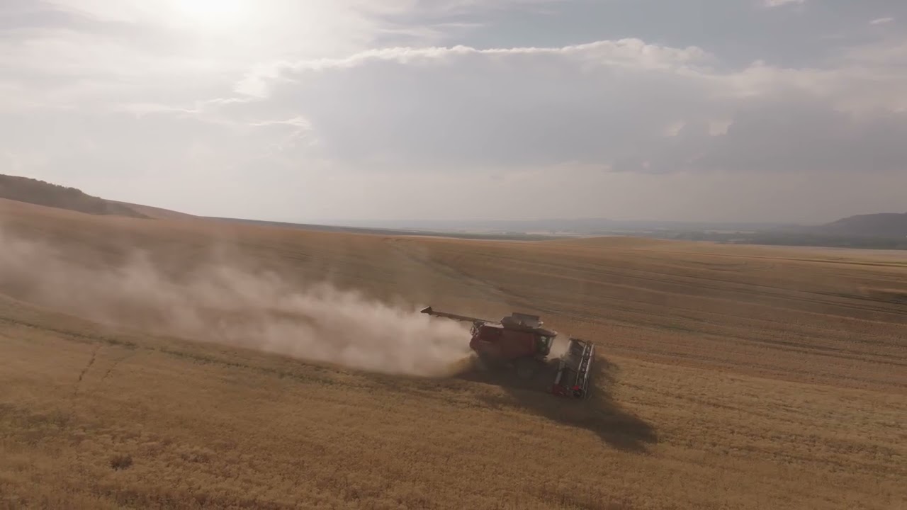 Harvester in the west