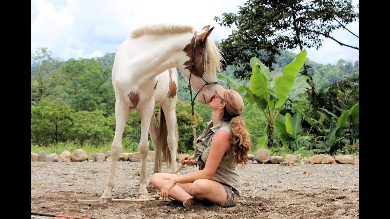 Pferdeflüstern in Costa Rica mit PFERD & REITER