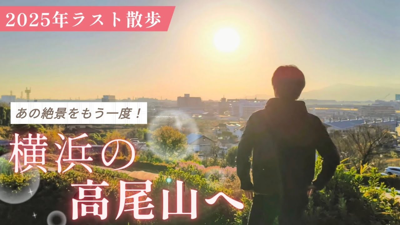【長津田散歩】今年最後は横浜の高尾山まで歩きます