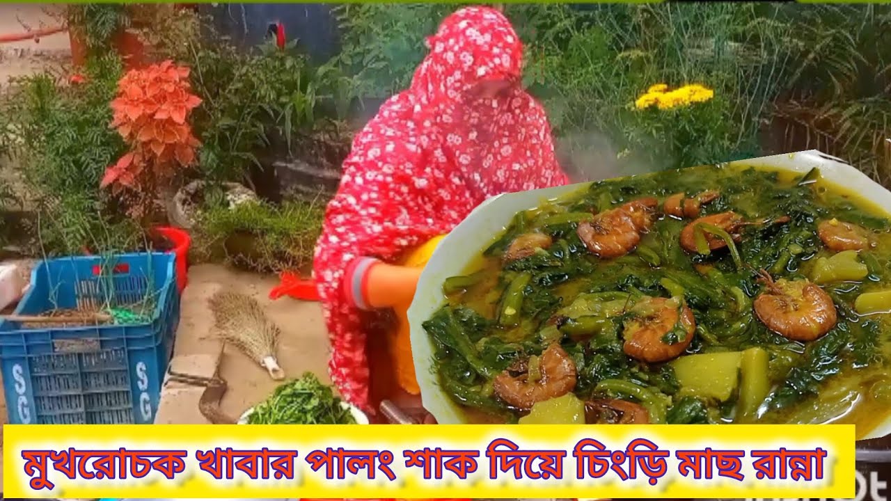 মাংস কেউ হার মানায় এই পালং শাক রান্না খেতেও ভারি মজা 