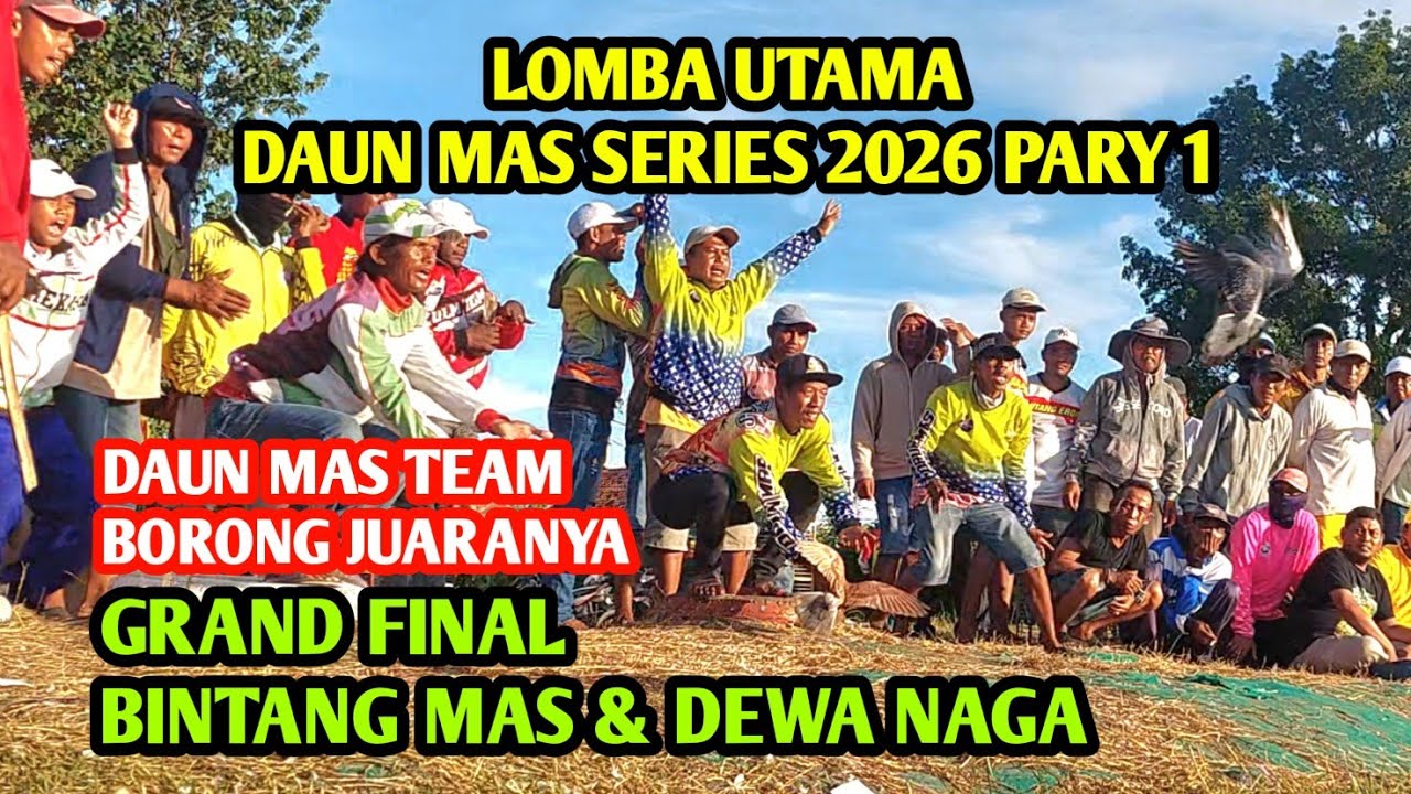Lomba utama merpati balap Daun Mas series 2026 pandan pamekasan