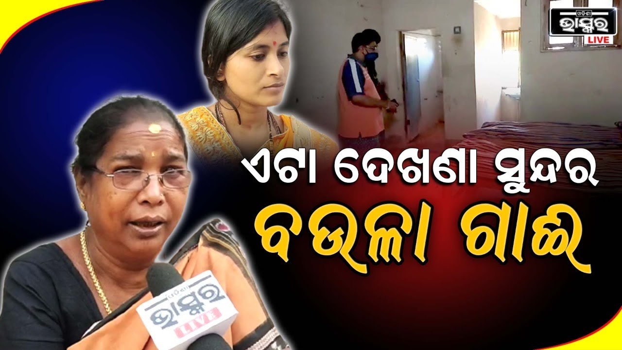 ଝିଅକୁ ଯେଉଁ ପ୍ରକାର ଟର୍ଚର କରୁଛନ୍ତି...ଏଟା ଗୋଟେ ଦେଖଣା ସୁନ୍ଦର ବଉଳା ଗାଈ