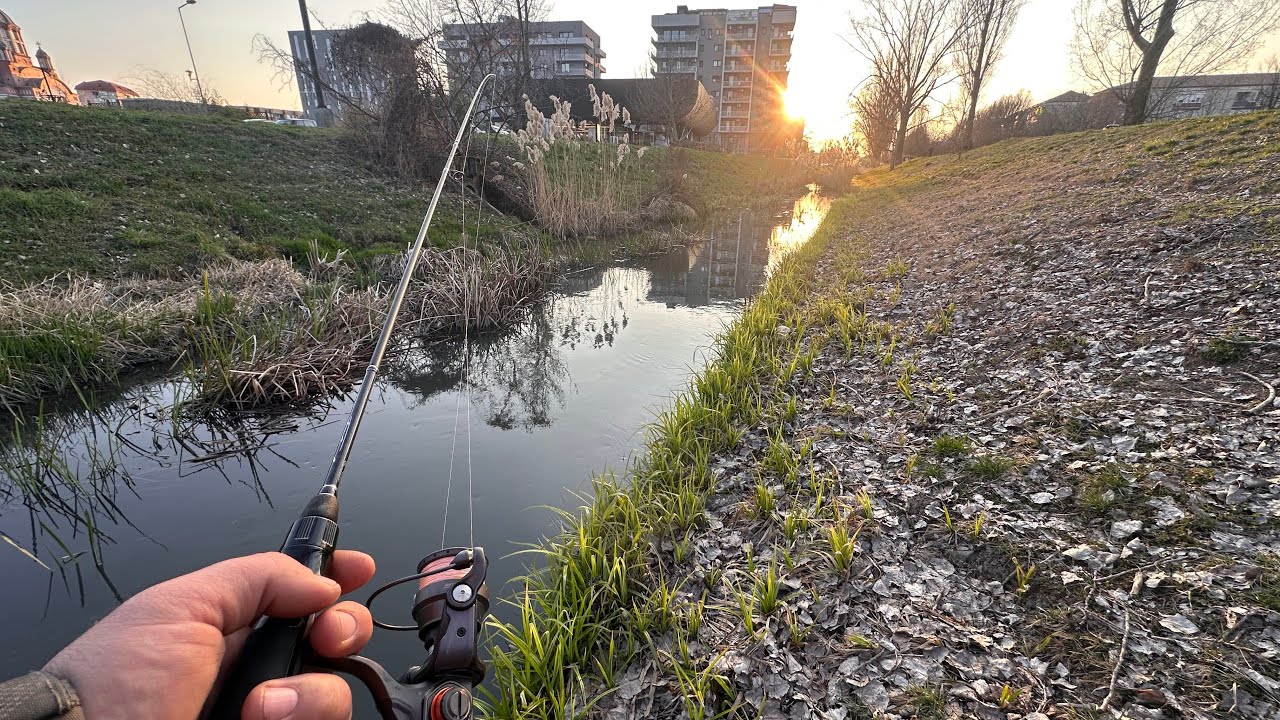 Уличная рыбалка в центре города (Орадя, Румыния) 🎣
