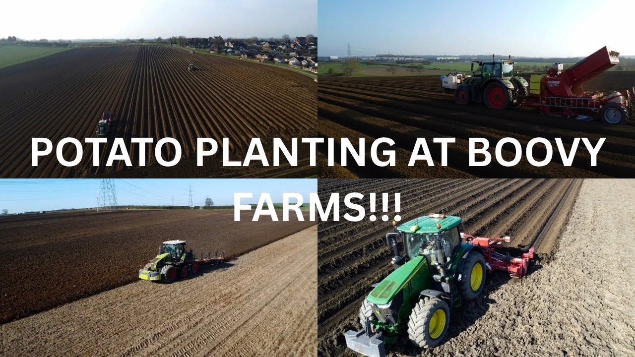 POTATO PLANTING IS A GO!!!