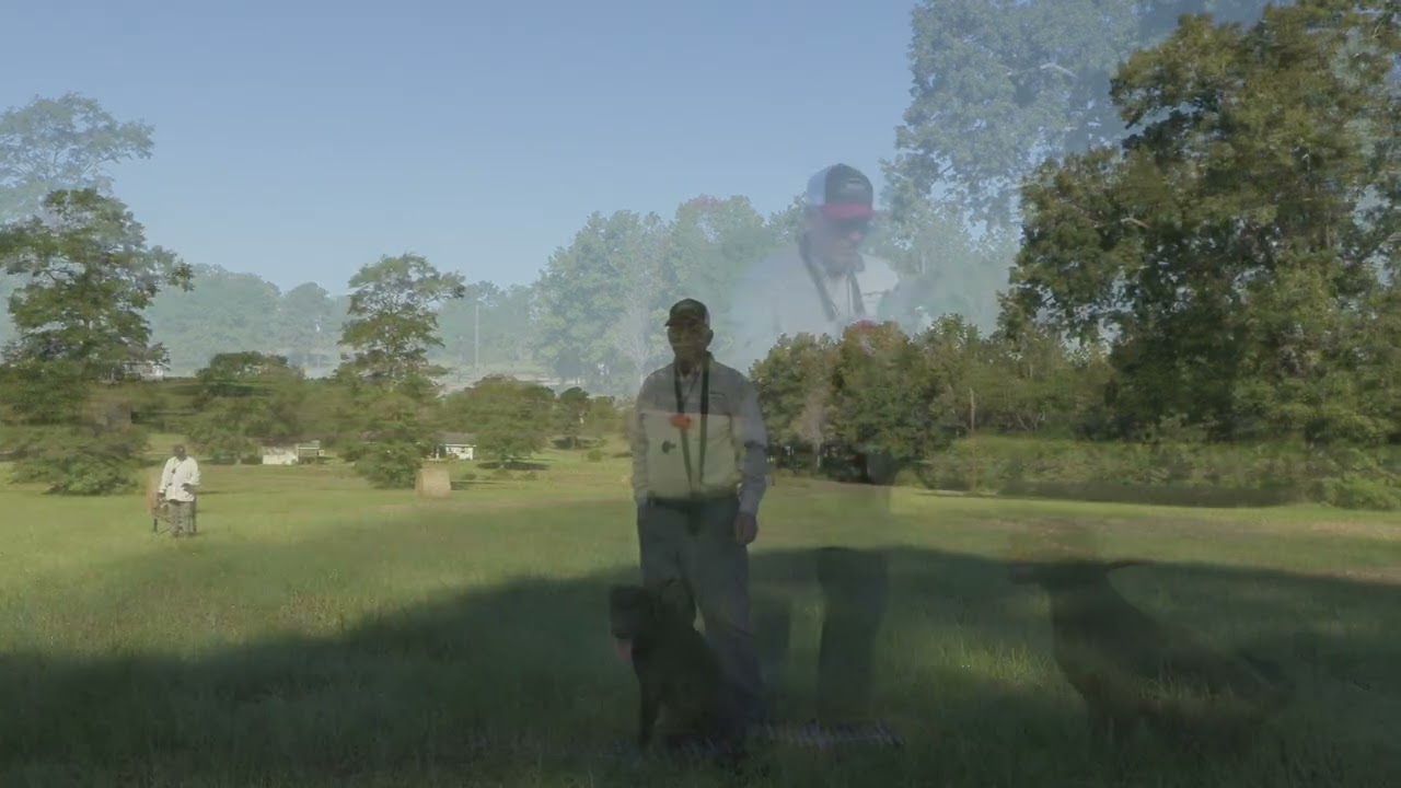 Looking Long with Cane