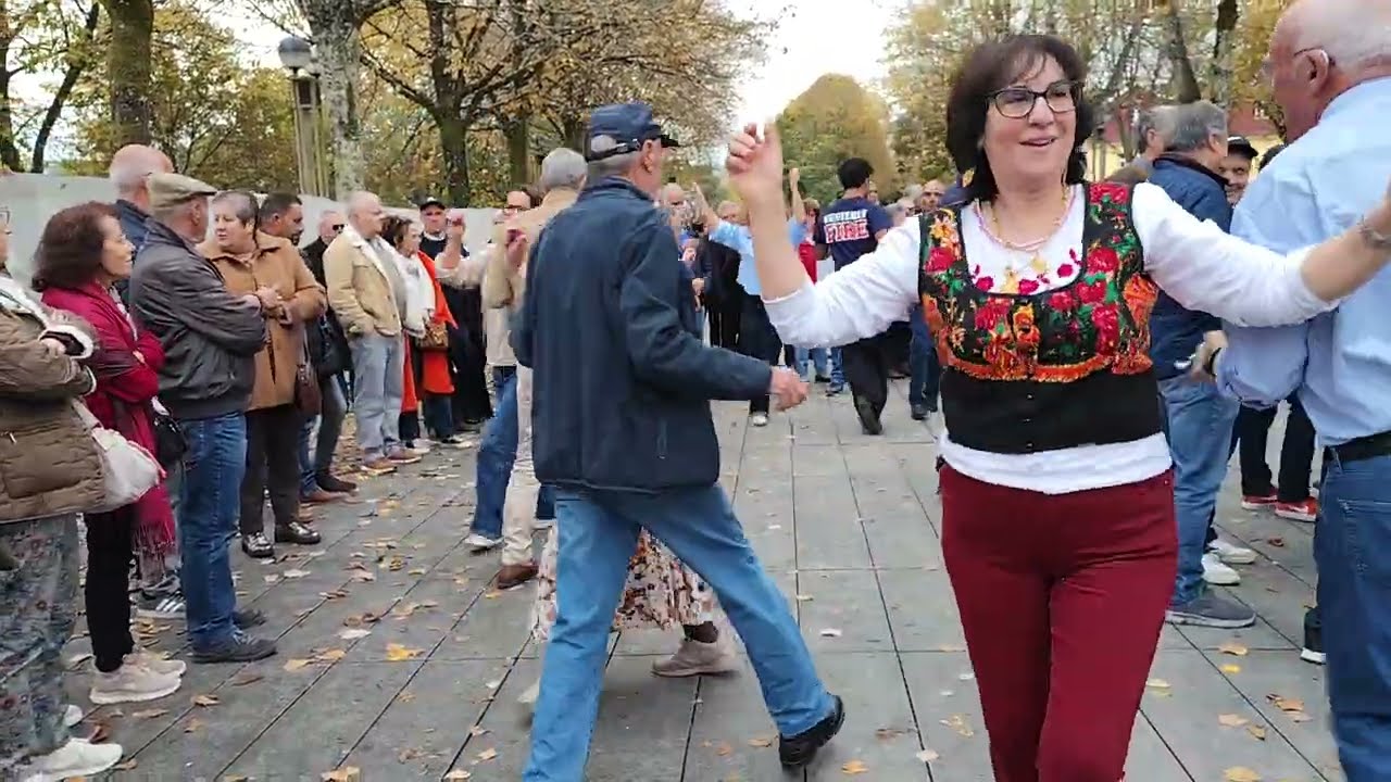 Domingo à tarde 😍 FOLCLORE ✅ Concertinas 🪗 Arcos de Valdevez 🇵🇹✨ 9/11/25