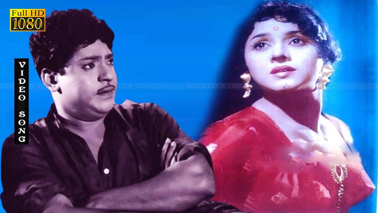 காட்டு ரோஜா திரைப்படத்தின் பாடல்கள் HD | எஸ்.எஸ்.ராஜேந்திரன், பத்மினி இனிமையான காதல் பாடல் .