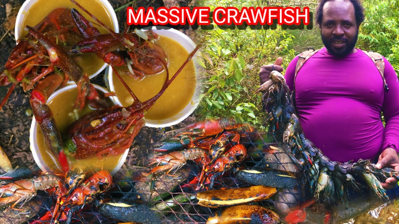 MASSIVE CRAWFISH CATCH FOR SOUP,,..EPIC CATCH & COOK