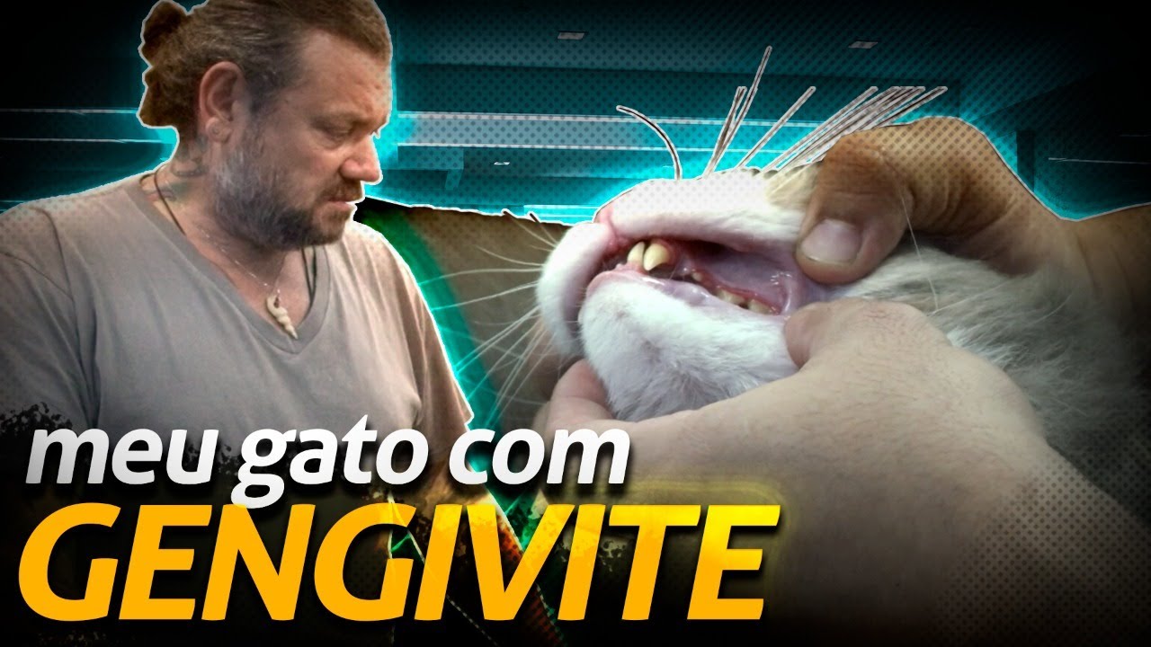 MEU GATO FOI PARAR NO HOSPITAL! | RICHARD RASMUSSEN
