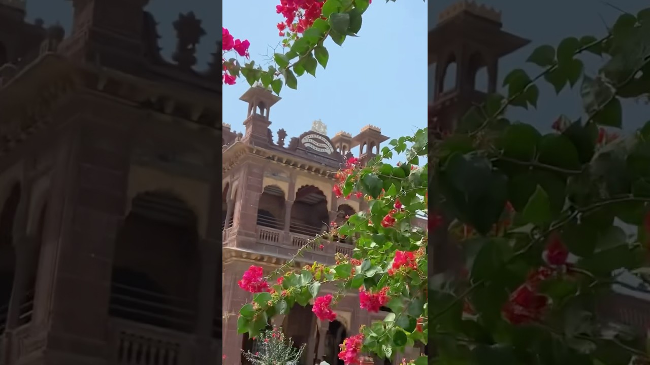The school 🫡 #chopasni  #jodhpur #rajasthaniclture
