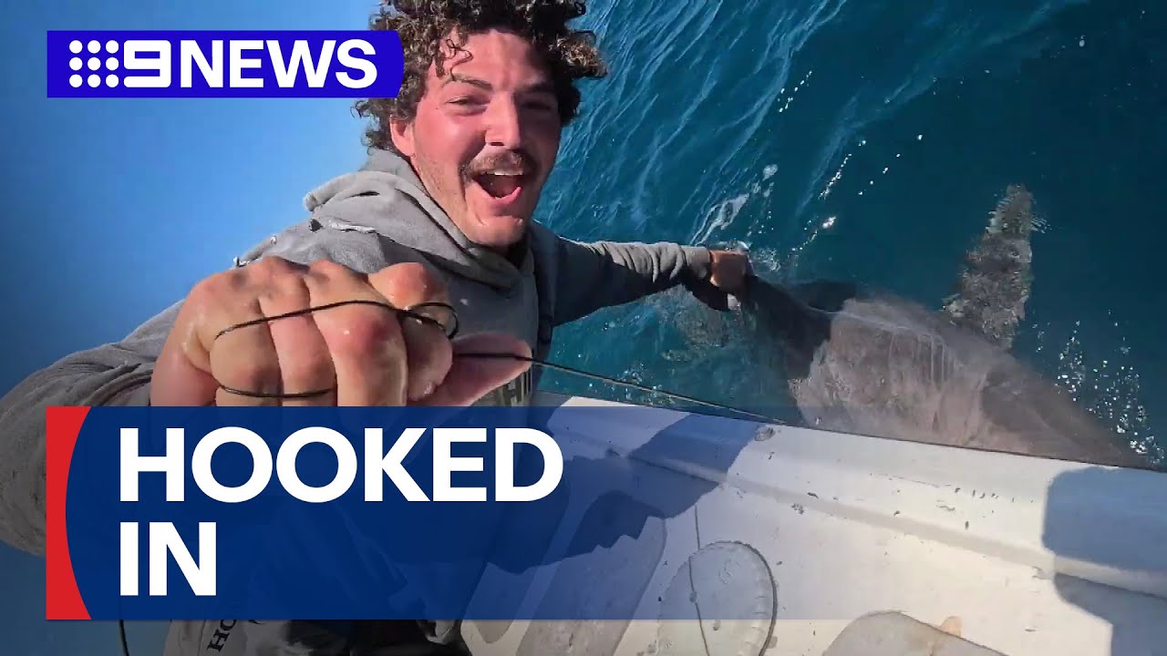 Melbourne chippie reels in an unexpected catch | 9 News Australia