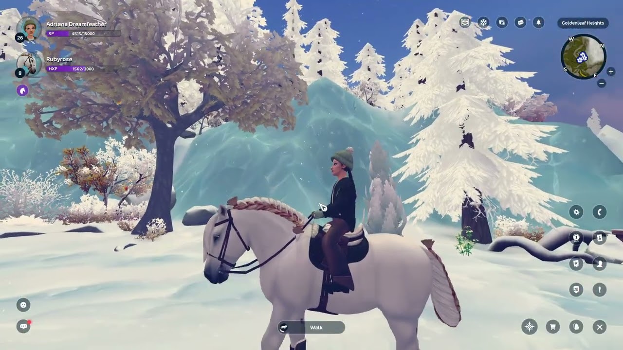 Last of what this area will look like in the snow, will be updated in Feb!