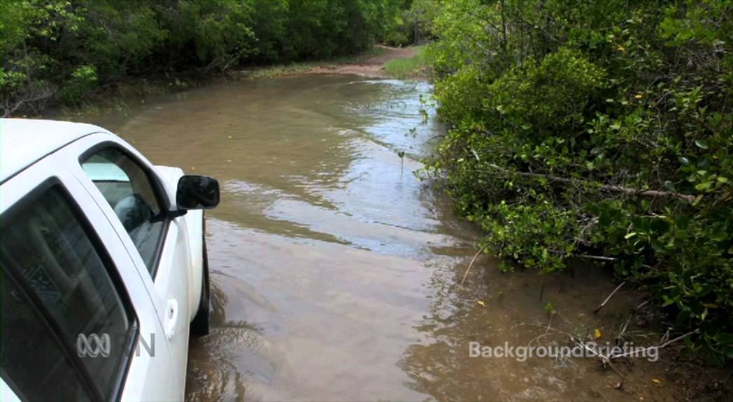 King tide on the island of Saibai in the Torres Strait - Background Briefing, ABC Radio National