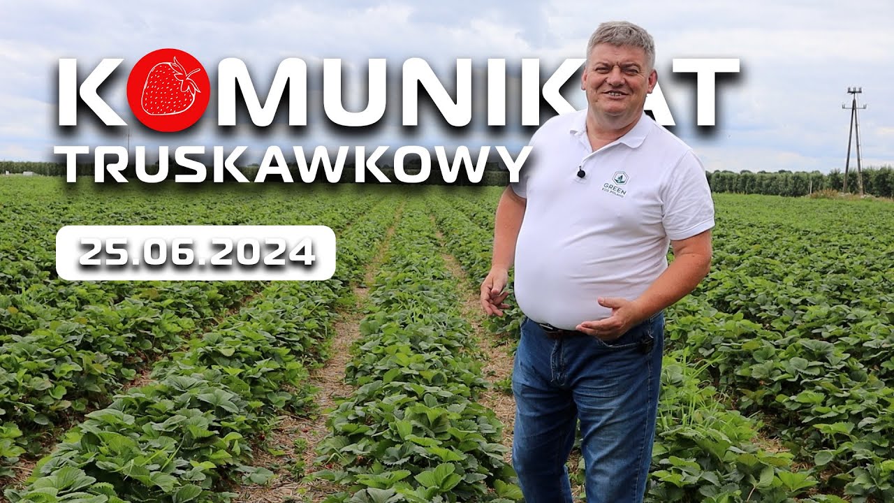 Komunikat truskawkowy - Zbigniew Marek - 25.06.2024