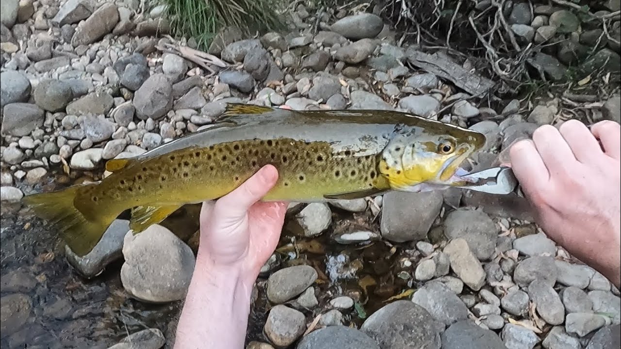 King River Fishing Experience