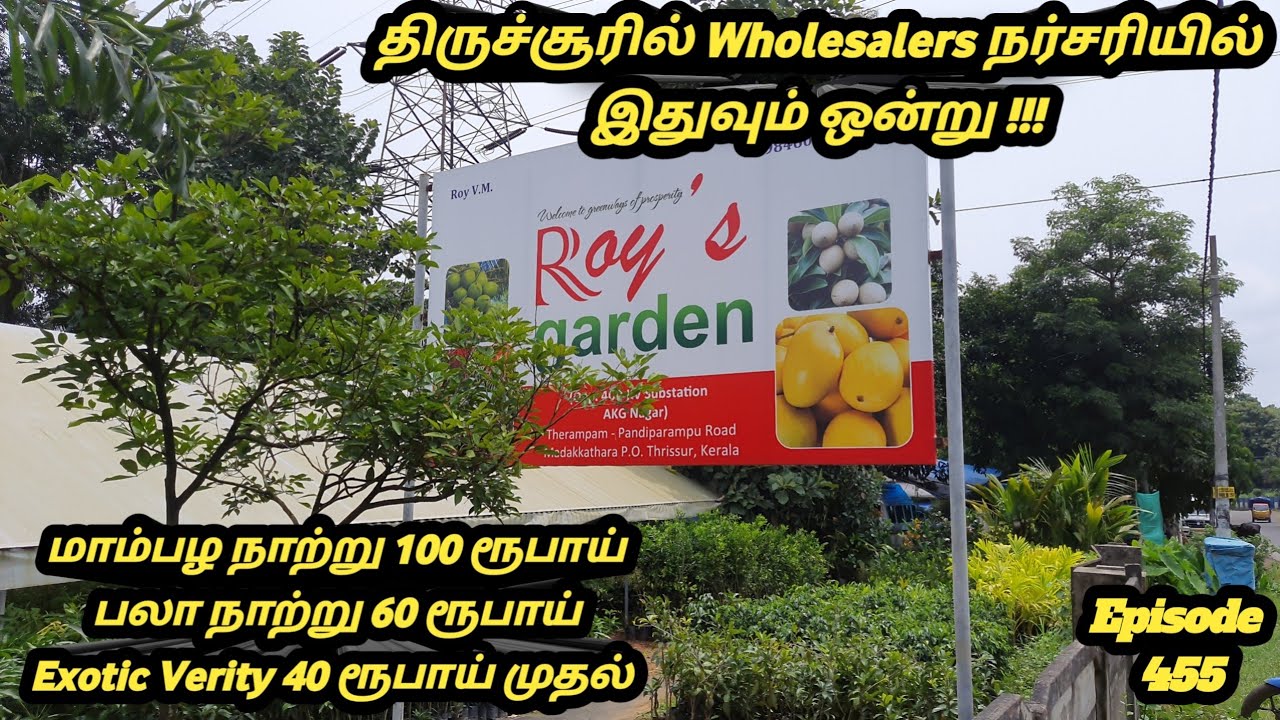 திருச்சூர் மொத்த விலை நர்சரி ராய்ஸ் கார்டன் #Roy's garden visit Thrissur #Exotic plant Wholesalers