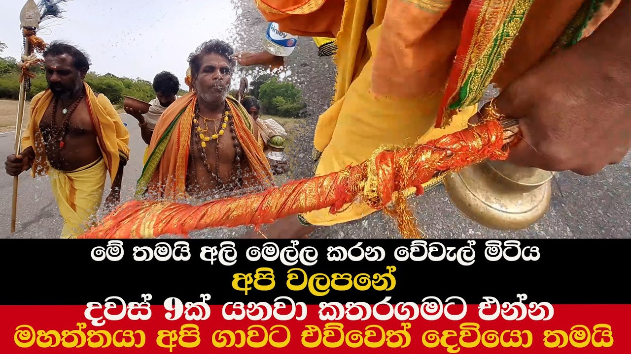 අපි වලපනේ | දවස් 9ක් යනවා කතරගමට එන්න | මේ තමයි අලි මෙල්ල කරන වේවැල් මිටිය