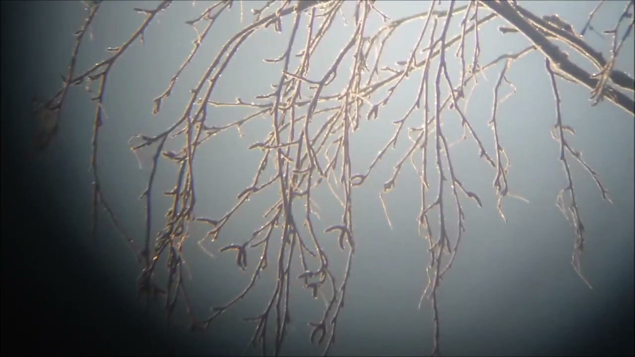 Wordless 13022026 Holopainen