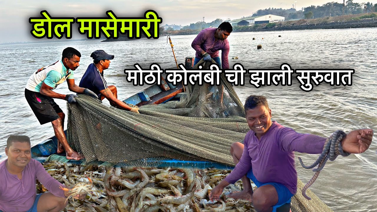 अचानक कोलंबी ला झाली सुरुवात | पारंपरिक डोल मासेमारी | पहिल्यांदा आल्या एवढ्या Chimborya | Sea snake